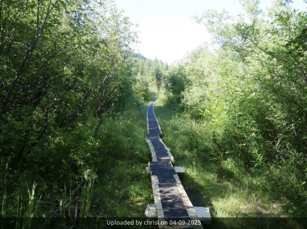 Lowest Boardwalk _Lowest Boardwalk