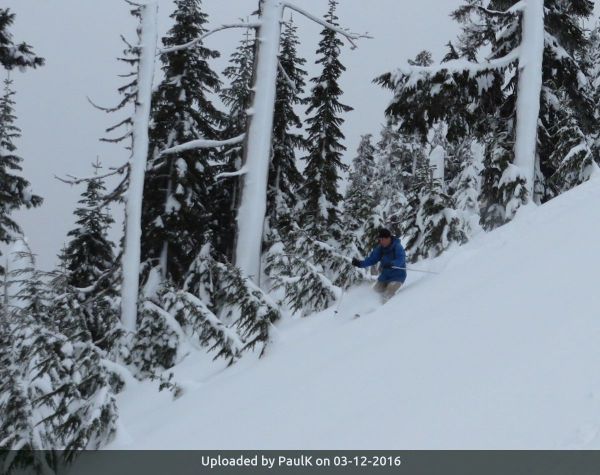 _Bill skiing below tree line