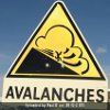 _Avalanche Sign