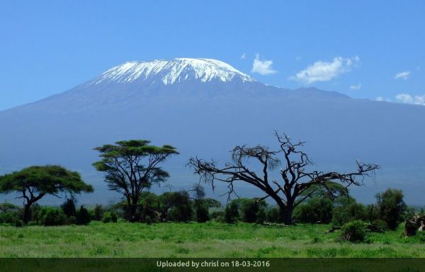 _Kilimanjaro