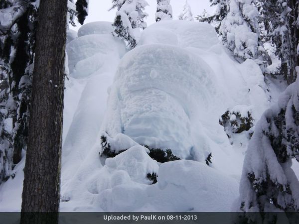 _Rose Trail: Snow pillows near 1100 meters in mid-winter