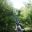 Lowest Boardwalk https://bcmc.ca/m/photos/get_image/file/44f1155ccc0c7c38f8ae8f55f4db97ff.jpg