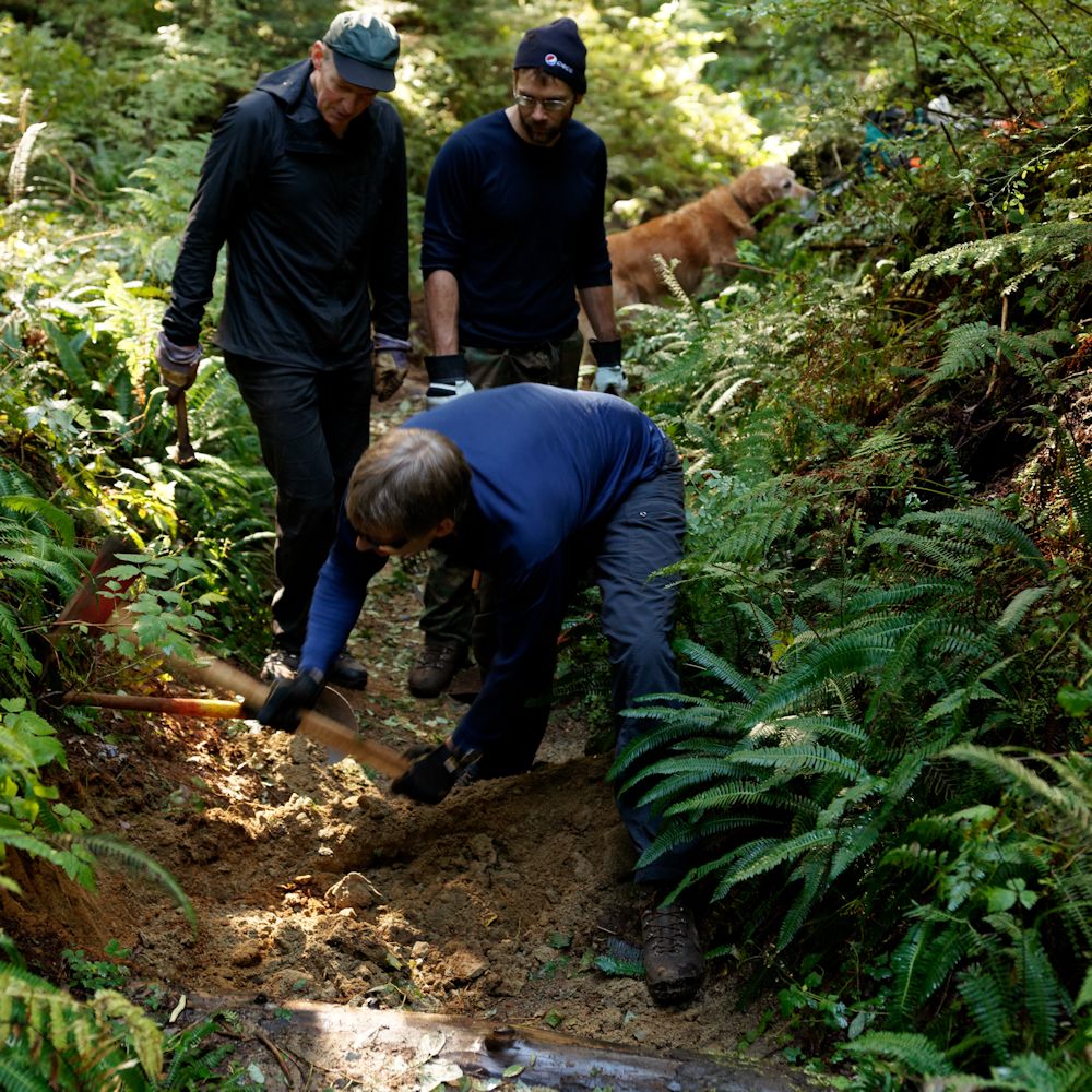 Paul and Alexis looking on while Doug digs