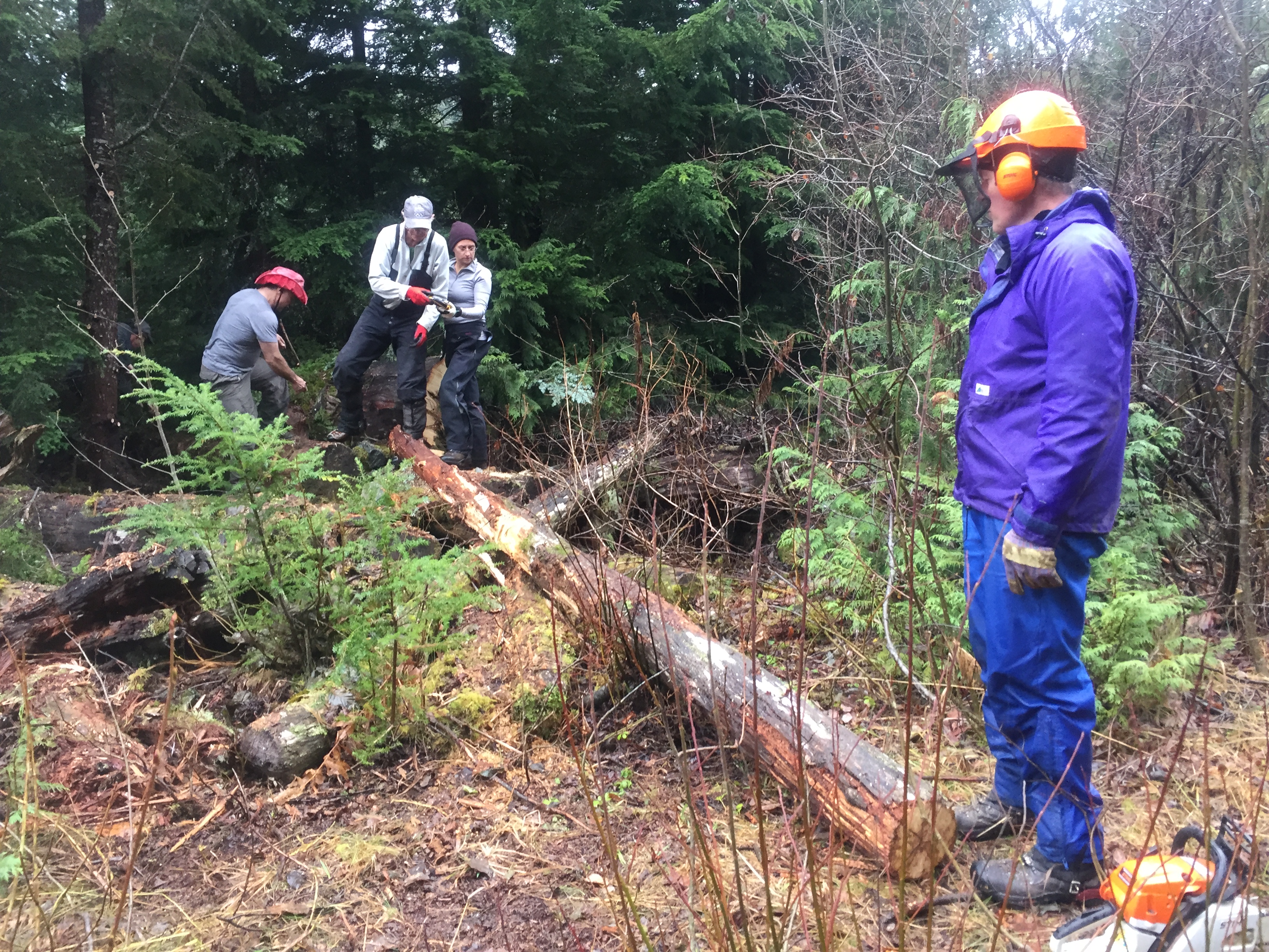 The first log has been picked and will be soon trimmed to size.