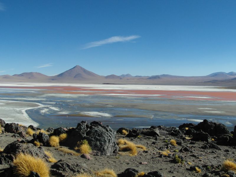 _Red Lagoon, Bolivian Altiplano. 14,000 feet.